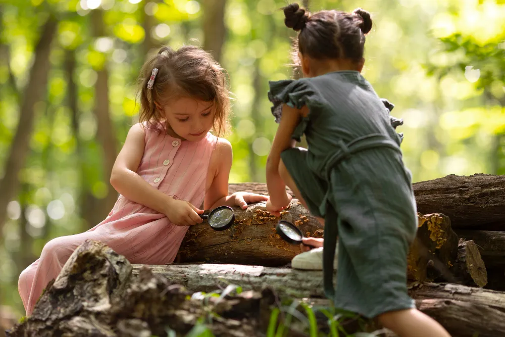 Zwei Kinder untersuchen mit Lupen einen Baumstamm im Wald